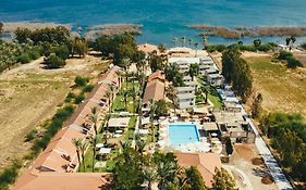 סולאיה כנרת